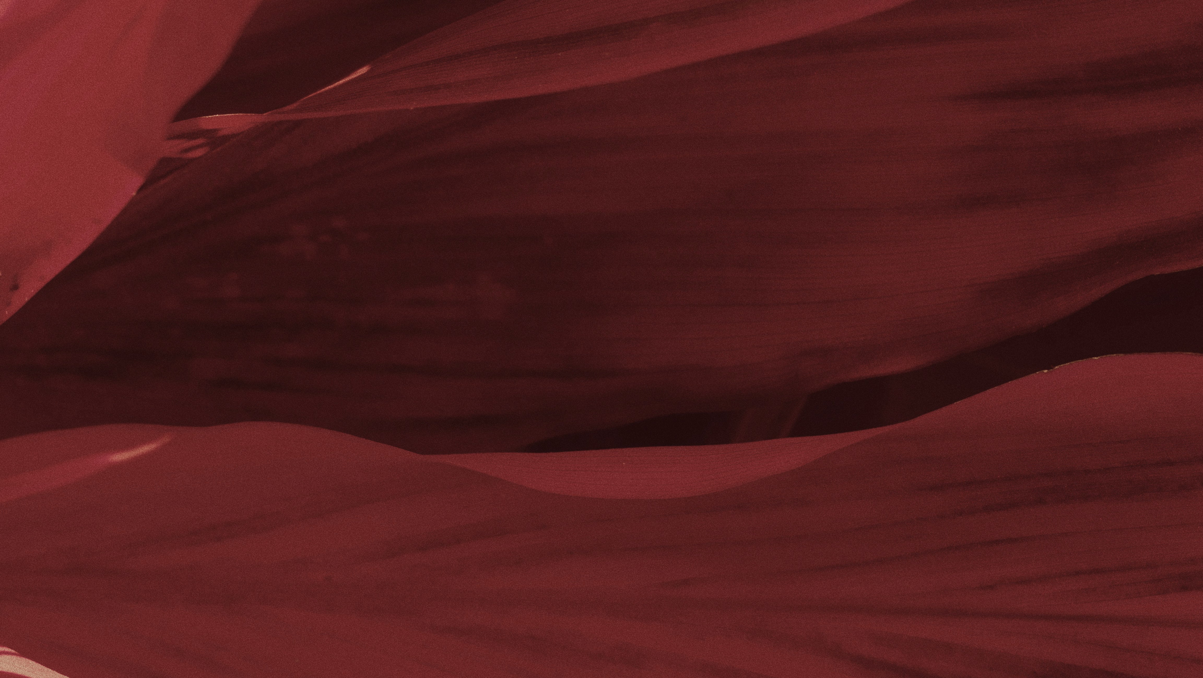 How your menstrual cycle affects your sex drive