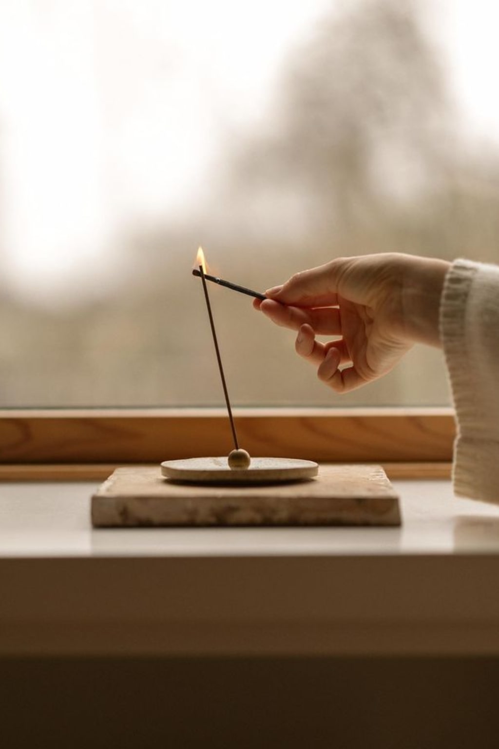 The link between progesterone and peace