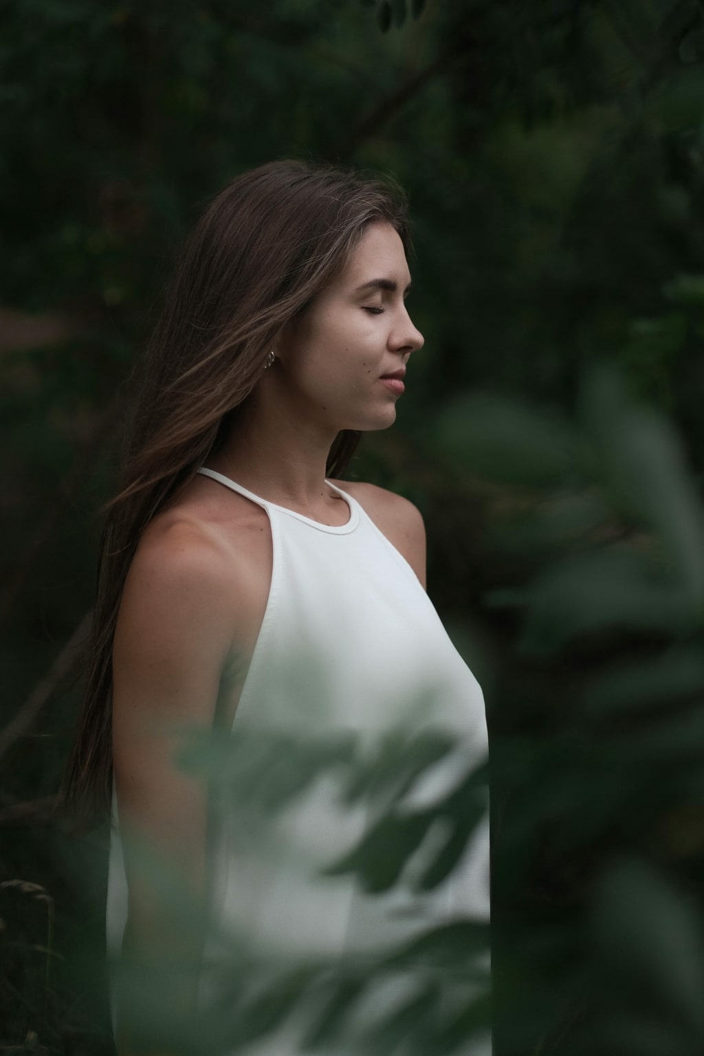 The neuroscience of intuition