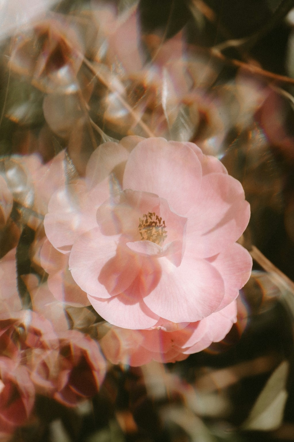 What is feminine energy and why so many women feel disconnected from it